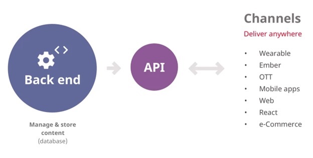 Headless Cms